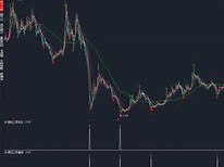 B体育-加拿大运动员勇冠三军，英姿勃发！